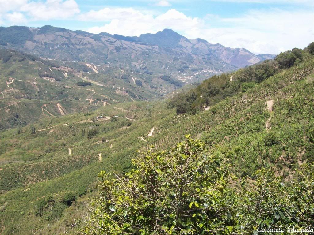 CANTÓN TARRAZÚ Provincia de San José Fotos, noticias, gobierno